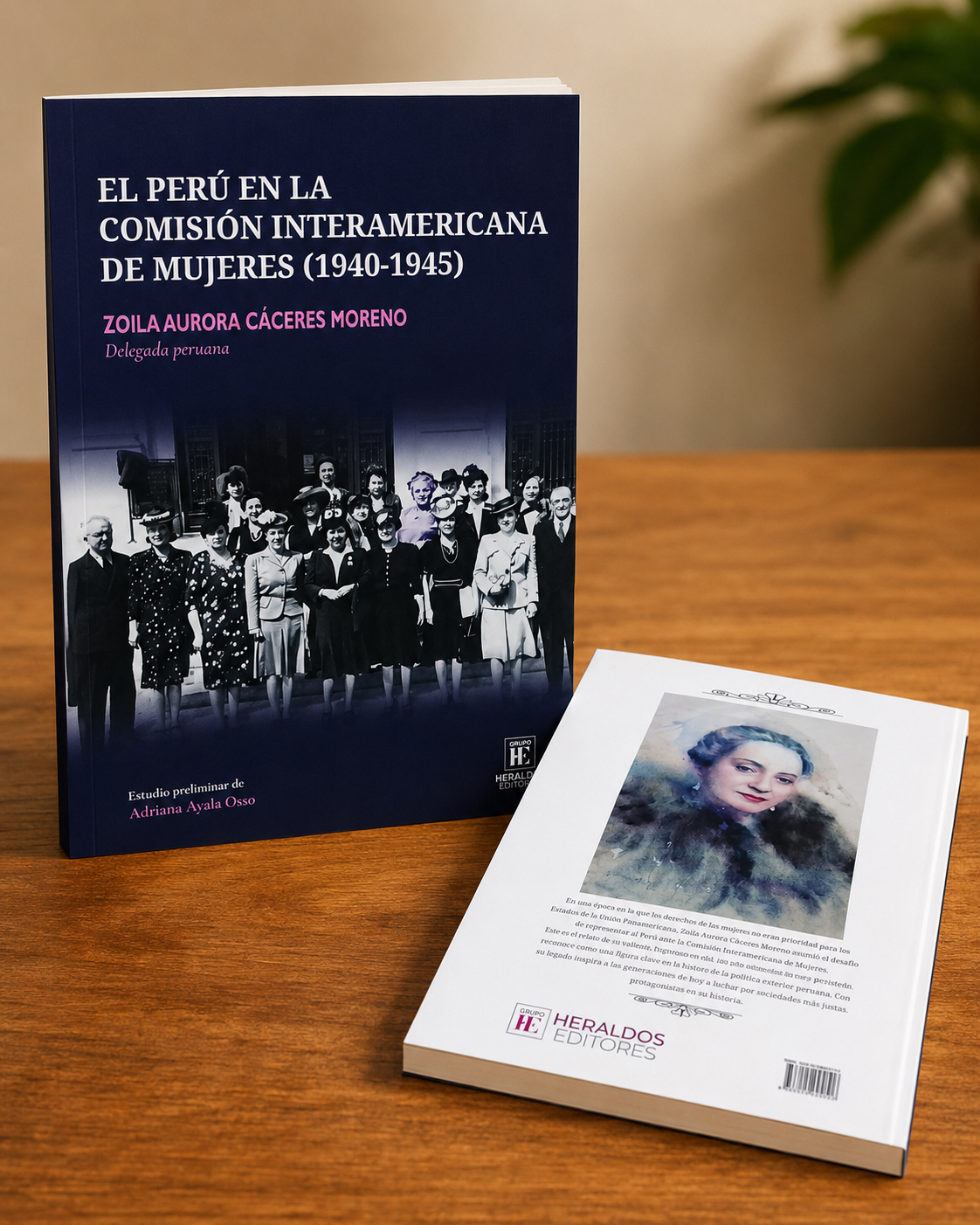 Zoila Caceres - Comision Interamericana mujeres